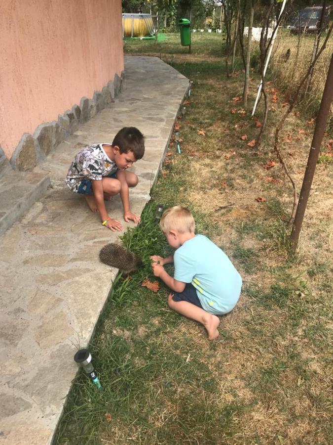 Стаи За Гости Тони Ribaritsa Dış mekan fotoğraf