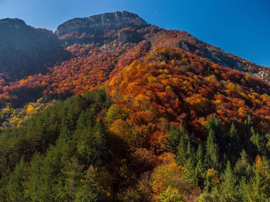 Стаи За Гости Тони Ribaritsa Dış mekan fotoğraf