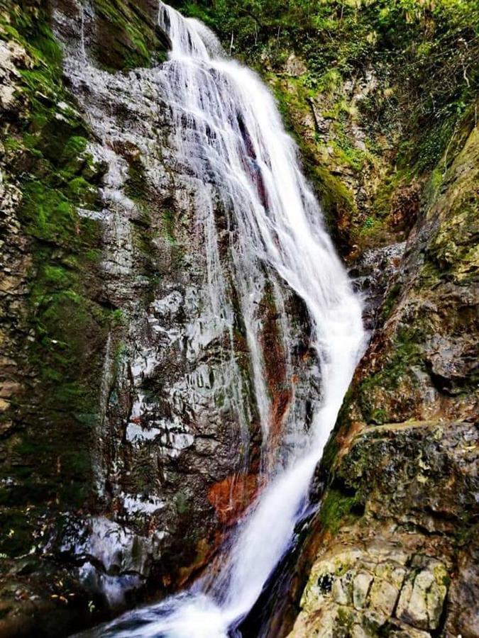 Стаи За Гости Тони Ribaritsa Dış mekan fotoğraf